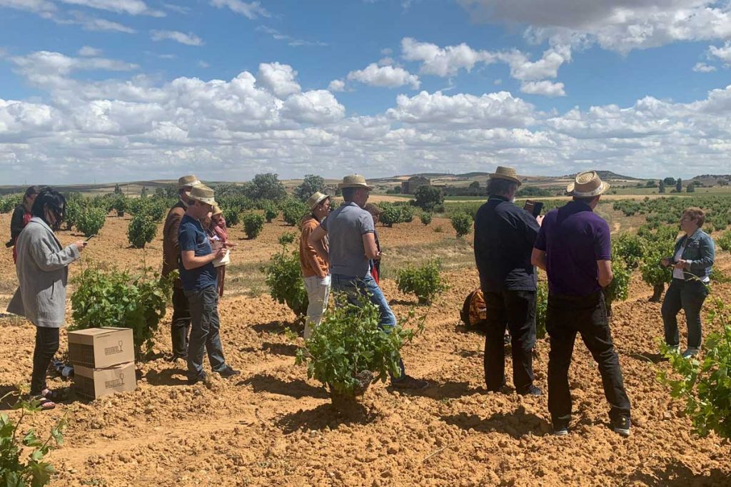 Visita de periodistas internacionales por la Ruta del Vino de Zamora